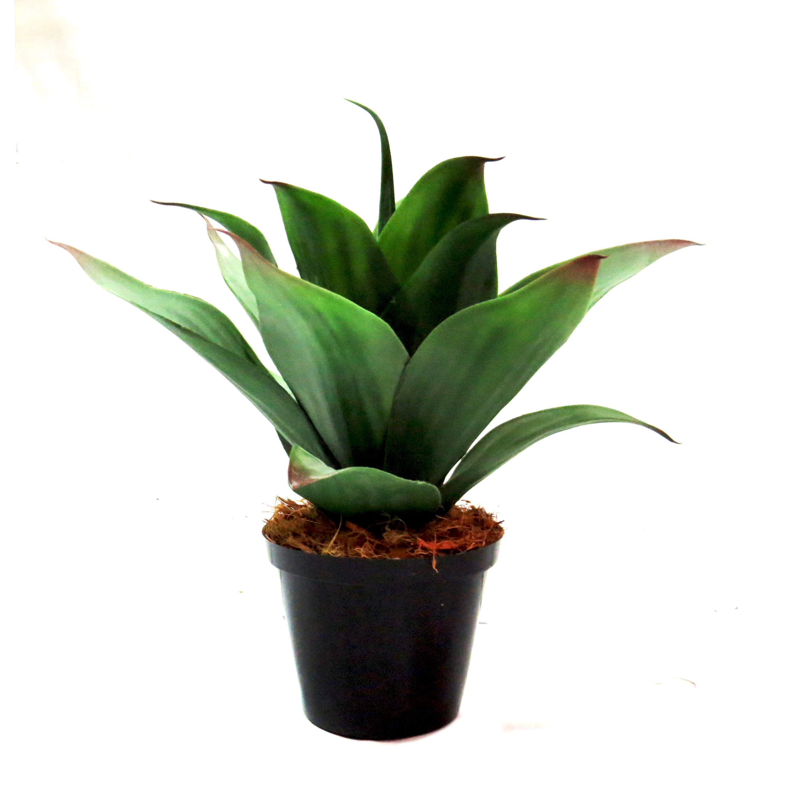 Artificial Yucca Patagon