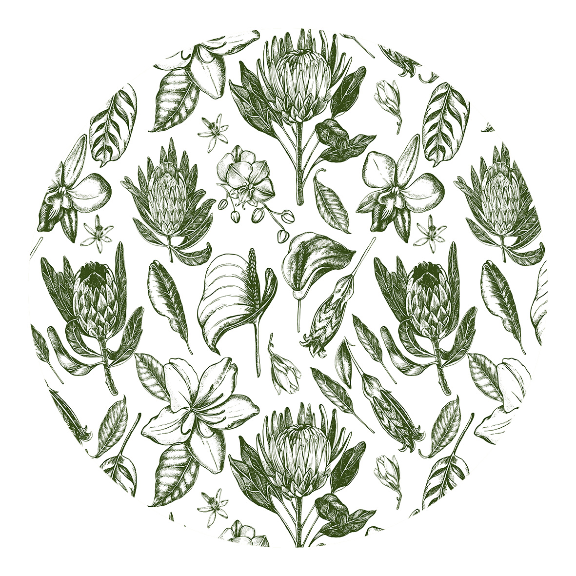 Bowl Cover Set of 3 - Protea Sketch Green