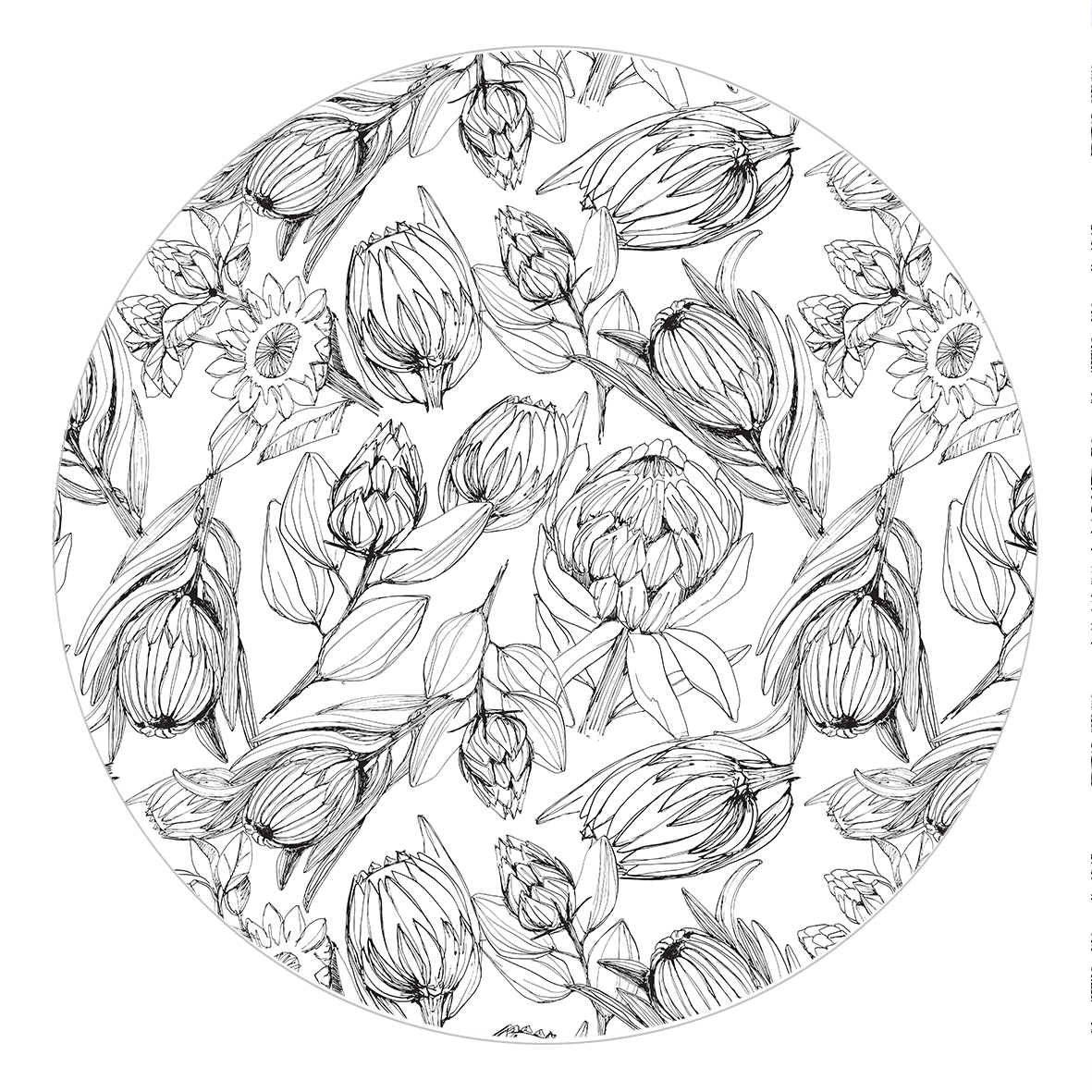 Bowl Cover Set of 3 - Protea Sketch White