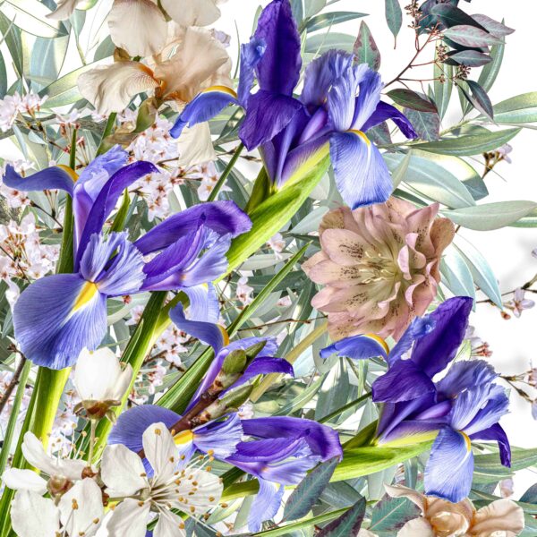 Food Net (100x150) - Blooms