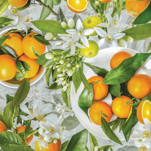 Food Net (100x150) - Orange Spread