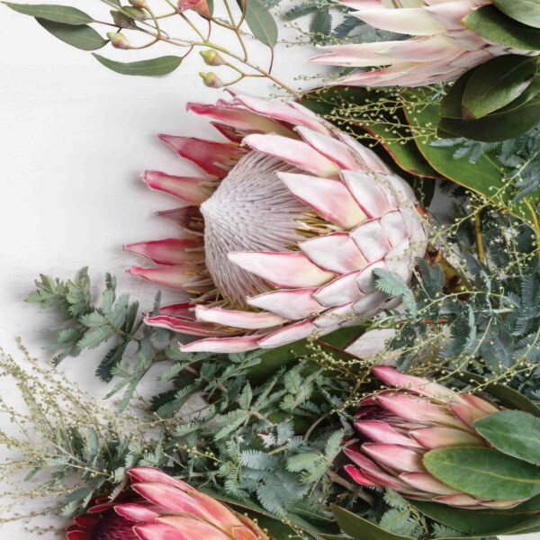 Food Net (100x150) - Protea Wildflowers