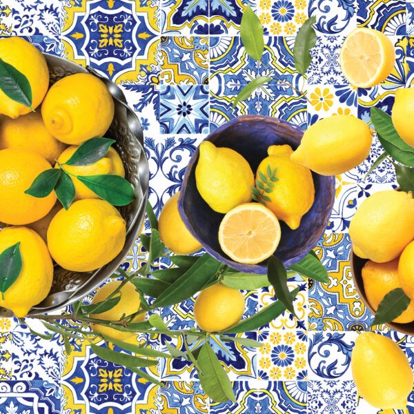 Food Net (100x150) - Santorini