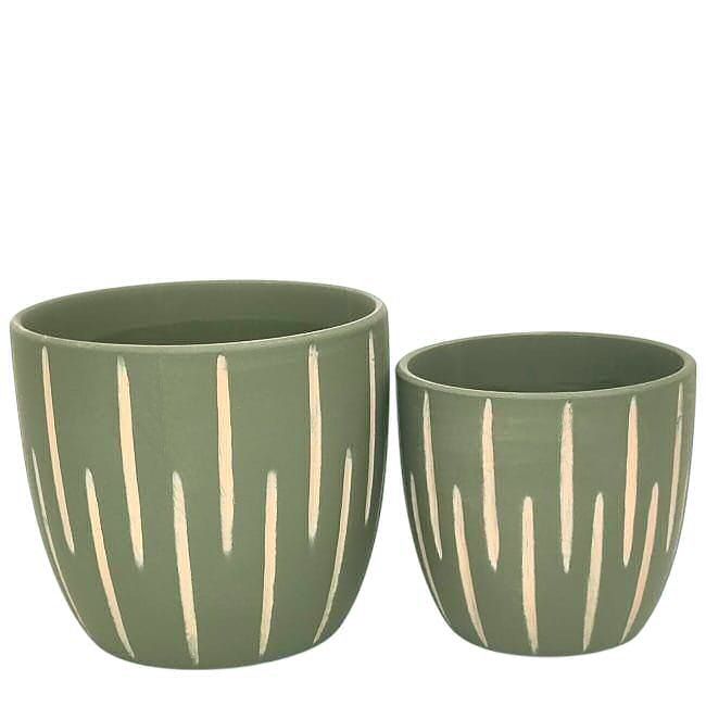 Planter Green with Beige Stripes (132500)