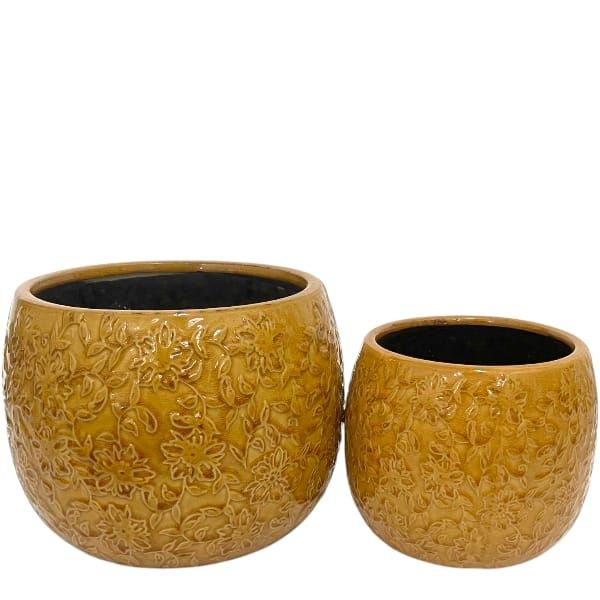 Planter Mustard (231209C)