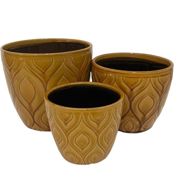 Planter Mustard (231275D)