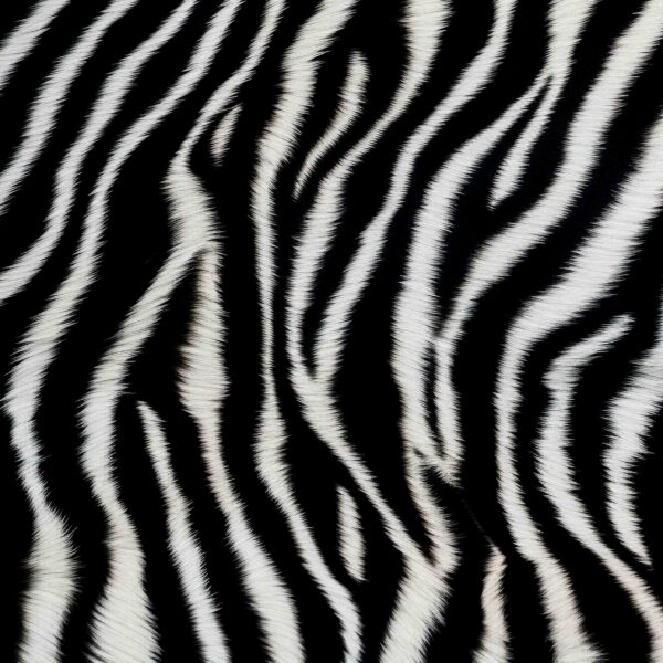 Placemat Set of 6 (Reusable) - Animal Skin Zebra
