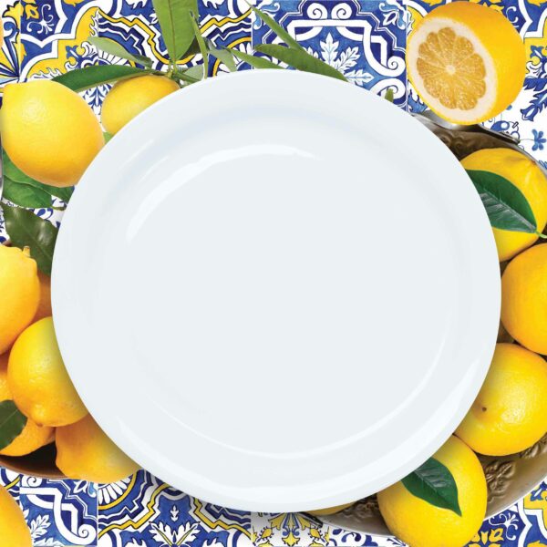 Placemat Set of 6 (Reusable) - Santorini
