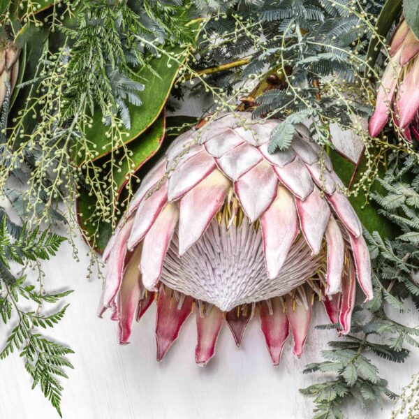 Tablecloth (Mock Linen) - Protea Harvest